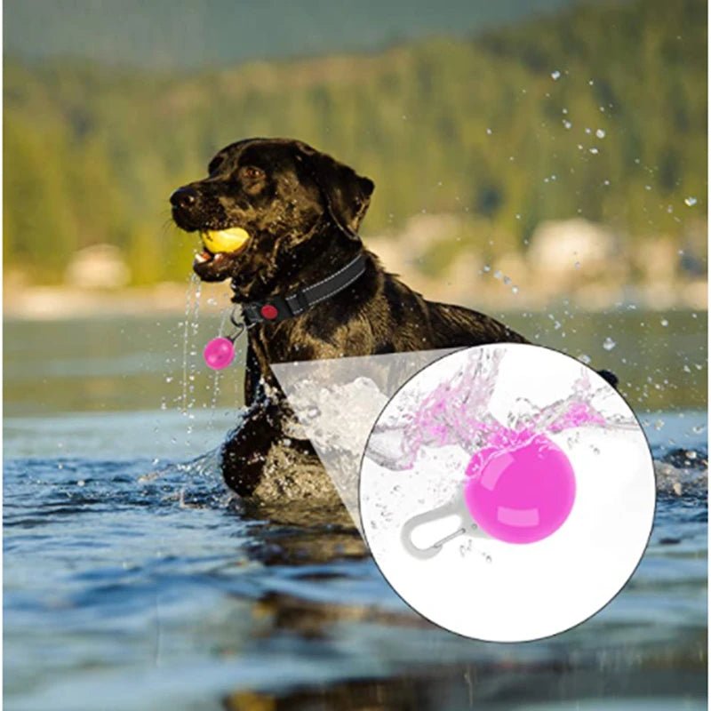 Usb Charging Glowing Dog Collar With Pendant Detachable Luxury Led Light Bright For Small Dogs Cat Night Safety Collar Wholesale - SS69