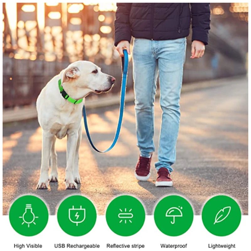 Usb Charging Glowing Dog Collar With Pendant Detachable Luxury Led Light Bright For Small Dogs Cat Night Safety Collar Wholesale - SS69