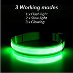 Usb Charging Glowing Dog Collar With Pendant Detachable Luxury Led Light Bright For Small Dogs Cat Night Safety Collar Wholesale - SS69