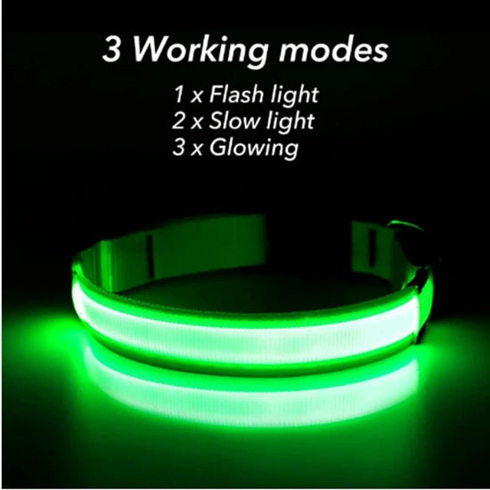 Usb Charging Glowing Dog Collar With Pendant Detachable Luxury Led Light Bright For Small Dogs Cat Night Safety Collar Wholesale - SS69