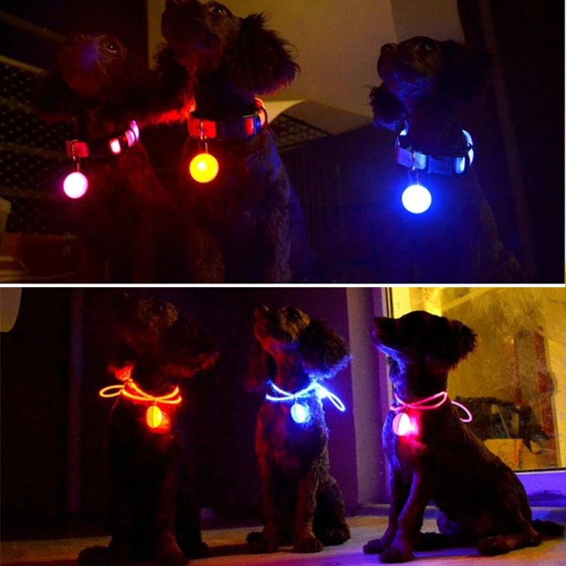 Usb Charging Glowing Dog Collar With Pendant Detachable Luxury Led Light Bright For Small Dogs Cat Night Safety Collar Wholesale - SS69