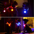 Usb Charging Glowing Dog Collar With Pendant Detachable Luxury Led Light Bright For Small Dogs Cat Night Safety Collar Wholesale - SS69