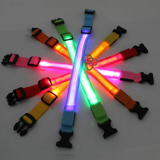 Usb Charging Glowing Dog Collar With Pendant Detachable Luxury Led Light Bright For Small Dogs Cat Night Safety Collar Wholesale - SS69