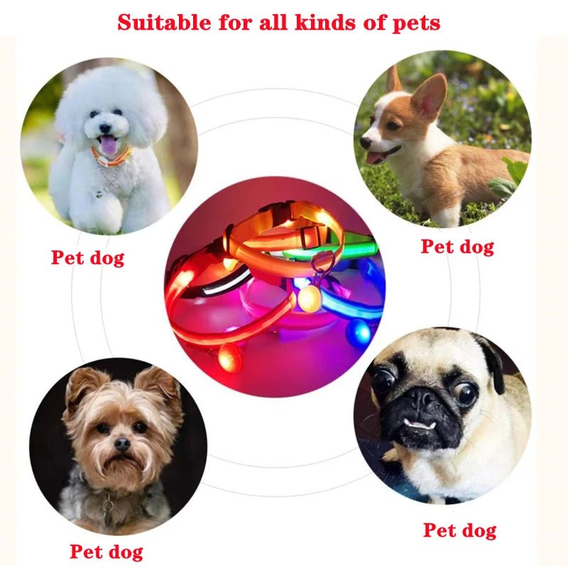Usb Charging Glowing Dog Collar With Pendant Detachable Luxury Led Light Bright For Small Dogs Cat Night Safety Collar Wholesale - SS69
