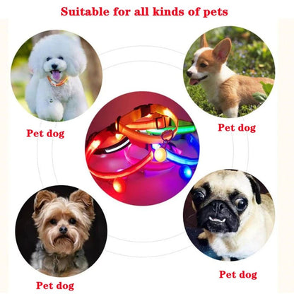 Usb Charging Glowing Dog Collar With Pendant Detachable Luxury Led Light Bright For Small Dogs Cat Night Safety Collar Wholesale - SS69